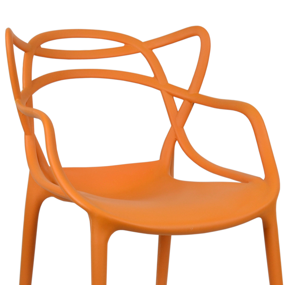 ���� Barneo N-221 Masters, ���������